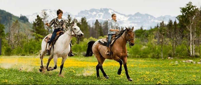 Confident plus-size woman riding Kings Norton a horse through a field with a smile on her face.